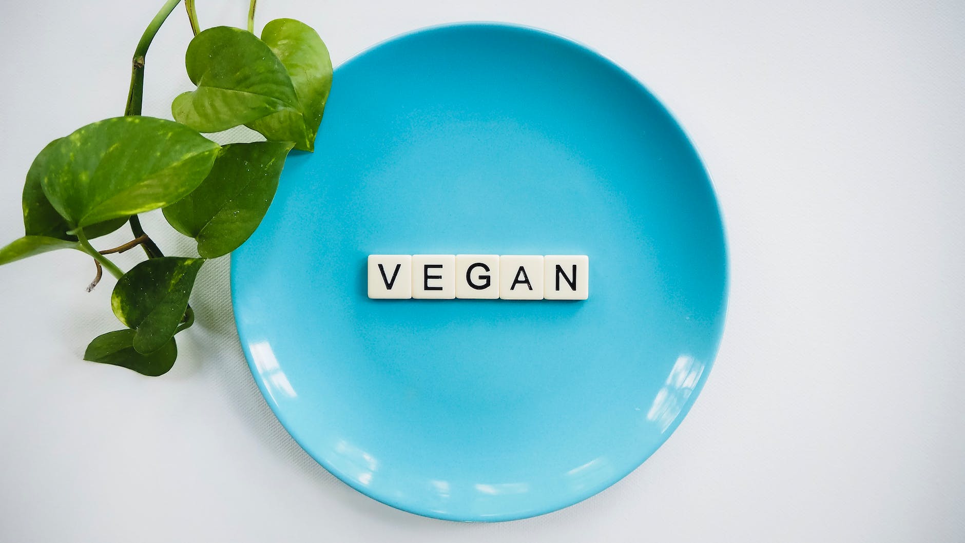 Embrace Veganuary: 10 Simple Steps For A Greener Lifestyle | Small ...